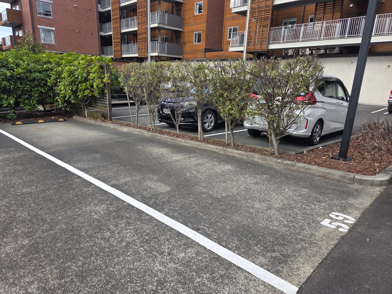 Hedge line trimmed between the parking bays of a body corporate carpark